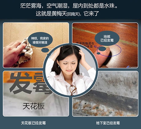 養(yǎng)豬舍濕氣大，使用工業(yè)除濕機