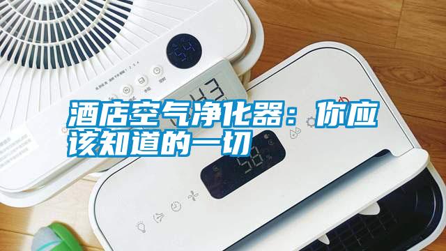 酒店空氣凈化器:你應(yīng)該知道的一切