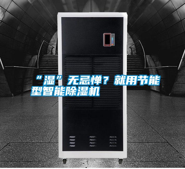 “濕”無忌憚？就用節能型智能除濕機