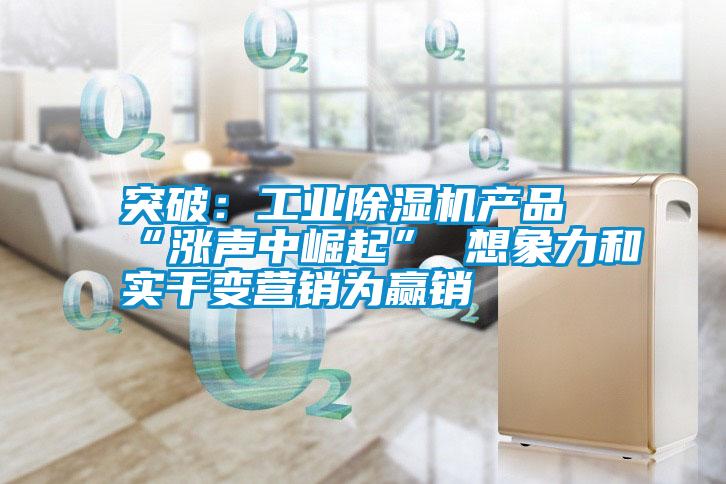 突破:工業(yè)除濕機(jī)產(chǎn)品“漲聲中崛起” 想象力和實干變營銷為贏銷