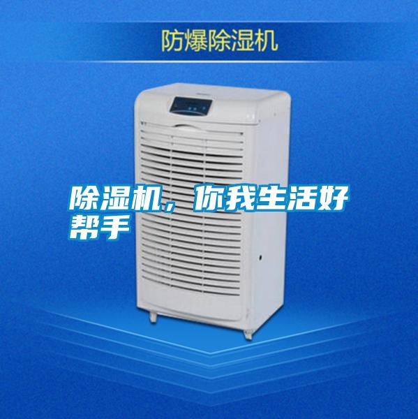 除濕機,你我生活好幫手