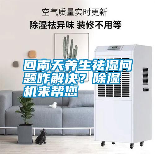 回南天養(yǎng)生祛濕問題咋解決?除濕機(jī)來幫您