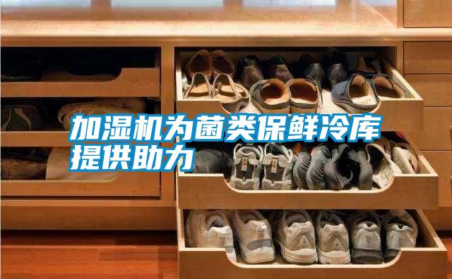 加濕機(jī)為菌類(lèi)保鮮冷庫(kù)提供助力