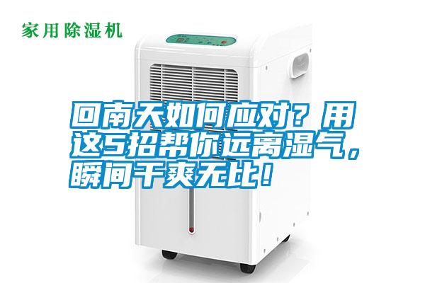 回南天如何應對？用這5招幫你遠離濕氣，瞬間干爽無比！