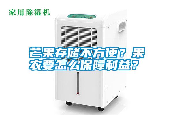 芒果存儲不方便？果農要怎么保障利益？