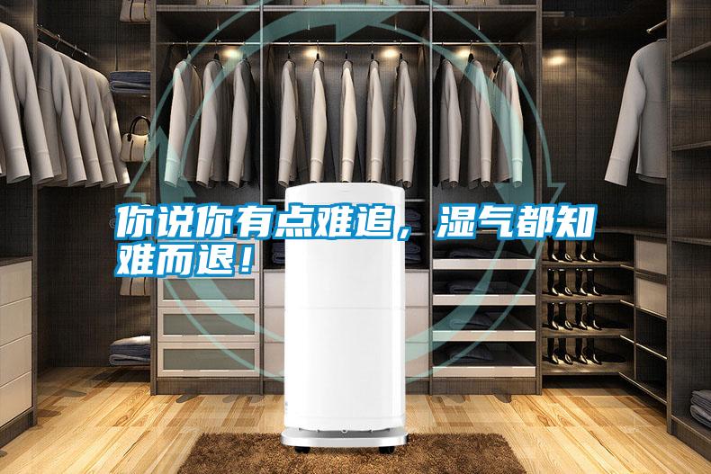 你說你有點難追，濕氣都知難而退！