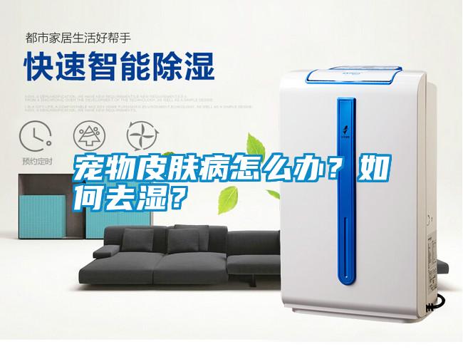寵物皮膚病怎么辦？如何去濕？