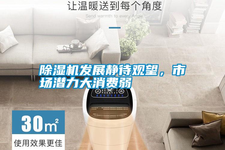 除濕機發展靜待觀望，市場潛力大消費弱