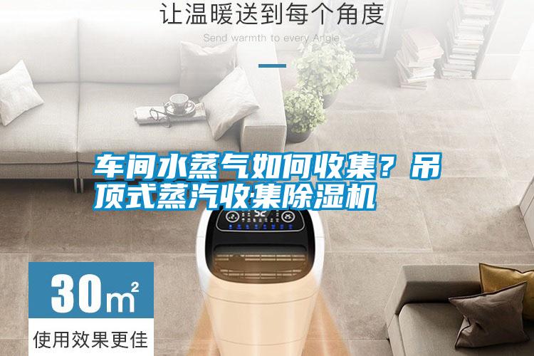 車間水蒸氣如何收集?吊頂式蒸汽收集除濕機