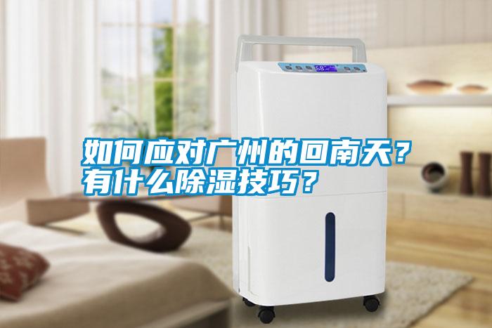 如何應對廣州的回南天？有什么除濕技巧？