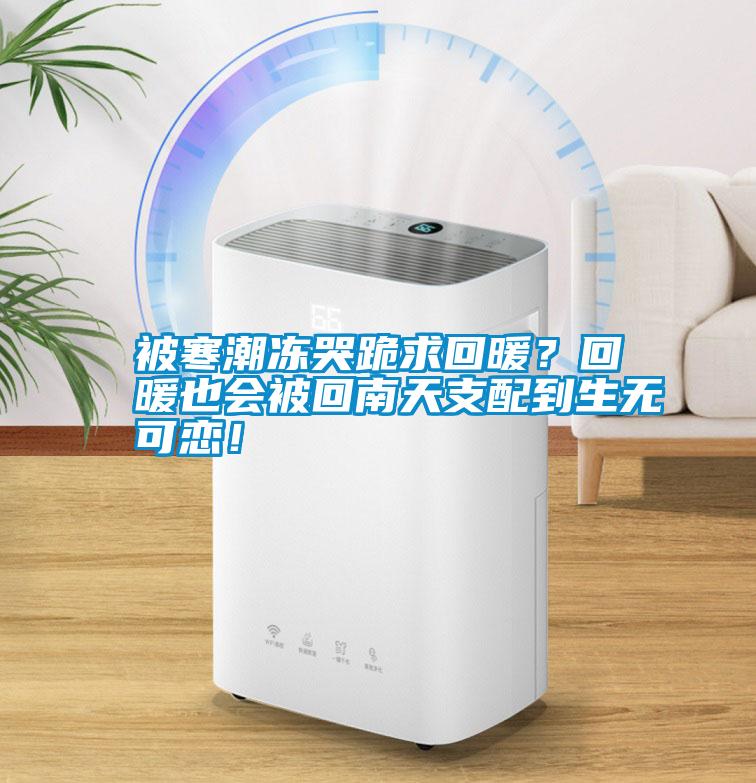 被寒潮凍哭跪求回暖？回暖也會被回南天支配到生無可戀！