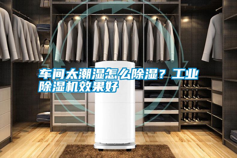 車間太潮濕怎么除濕？工業(yè)除濕機(jī)效果好