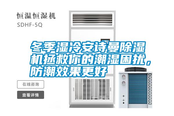 冬季濕冷安詩(shī)曼除濕機(jī)拯救你的潮濕困擾,防潮效果更好