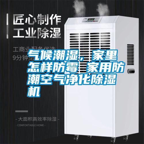 氣候潮濕，家里怎樣防霉 家用防潮空氣凈化除濕機