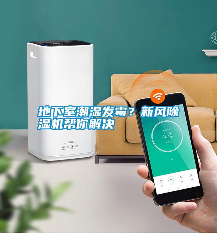 地下室潮濕發(fā)霉？新風(fēng)除濕機幫你解決