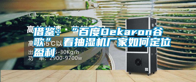 借鑒:“百度Dekaron谷歌” 看抽濕機廠家如何定位盈利