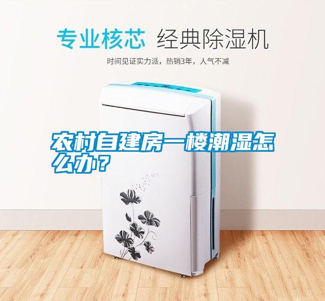 農村自建房一樓潮濕怎么辦？
