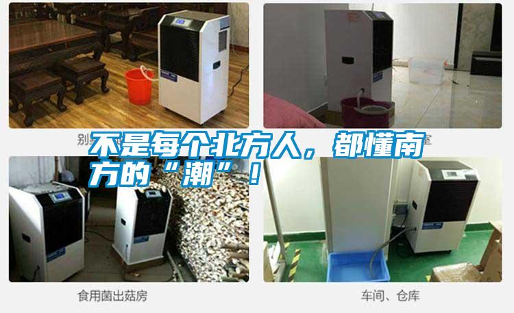 不是每個北方人，都懂南方的“潮”！