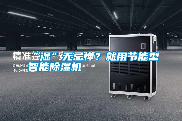 “濕”無忌憚？就用節(jié)能型智能除濕機