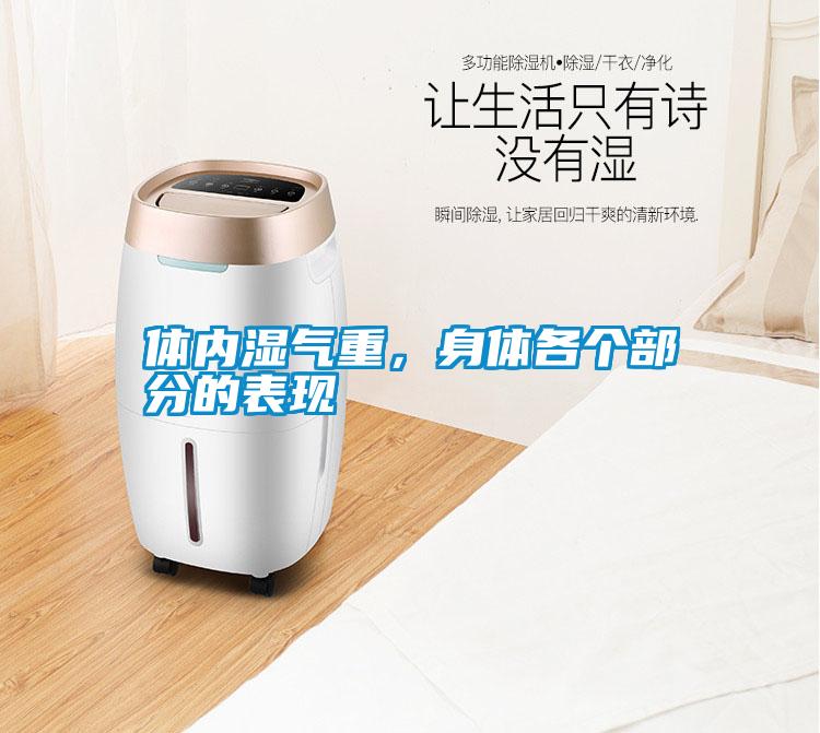 體內濕氣重,身體各個部分的表現