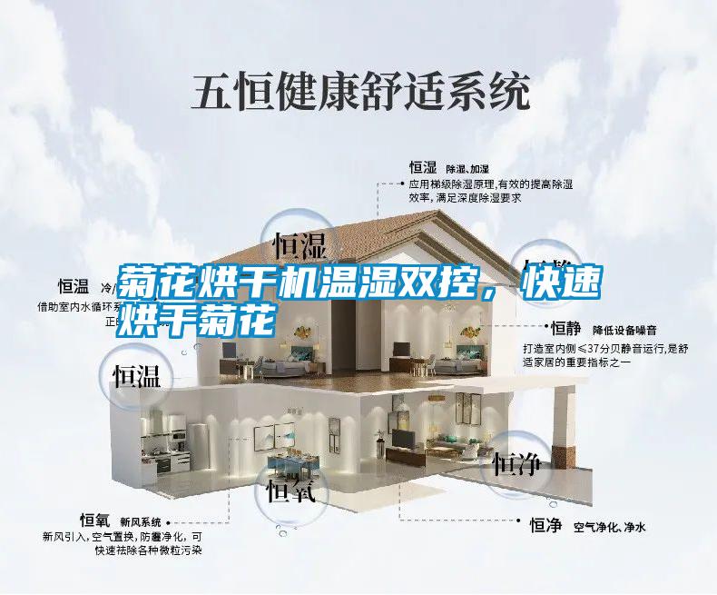 菊花烘干機溫濕雙控，快速烘干菊花
