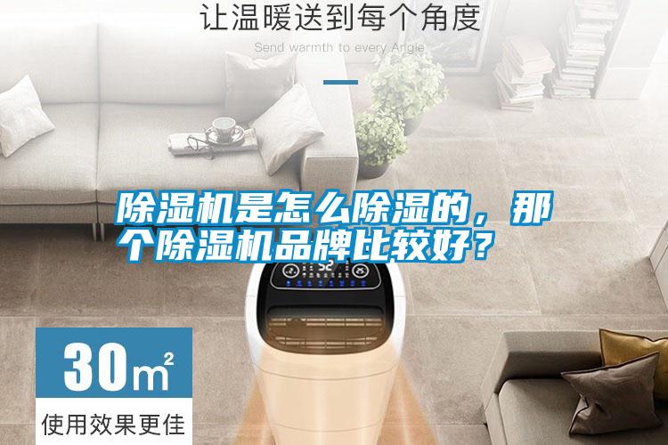 除濕機(jī)是怎么除濕的，那個(gè)除濕機(jī)品牌比較好？