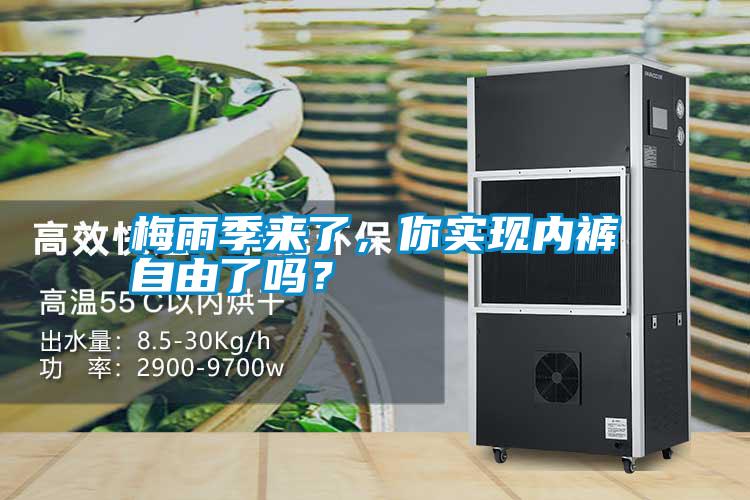 梅雨季來了,你實現(xiàn)內(nèi)褲自由了嗎?