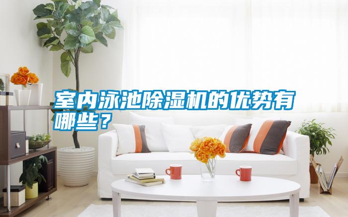 室內泳池除濕機的優勢有哪些？