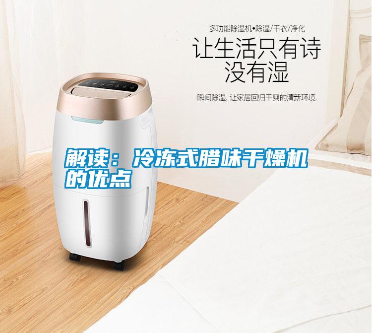 解讀:冷凍式臘味干燥機的優(yōu)點
