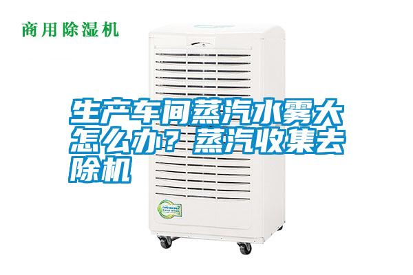 生產車間蒸汽水霧大怎么辦？蒸汽收集去除機