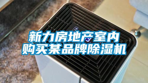 新力房地產(chǎn)室內(nèi)購(gòu)買某品牌除濕機(jī)