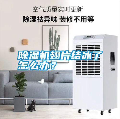 除濕機翅片結冰了怎么辦？