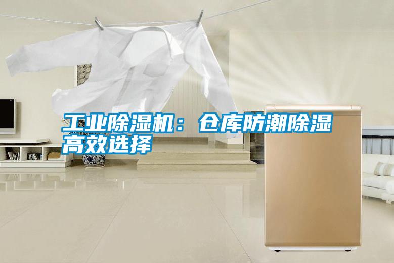 工業(yè)除濕機(jī):倉(cāng)庫(kù)防潮除濕高效選擇