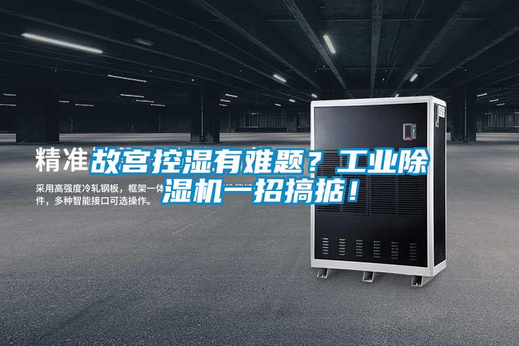 故宮控濕有難題？工業(yè)除濕機一招搞掂！