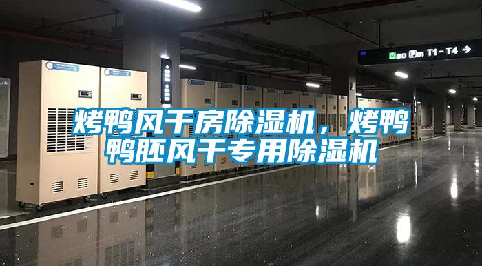 烤鴨風干房除濕機，烤鴨鴨胚風干專用除濕機