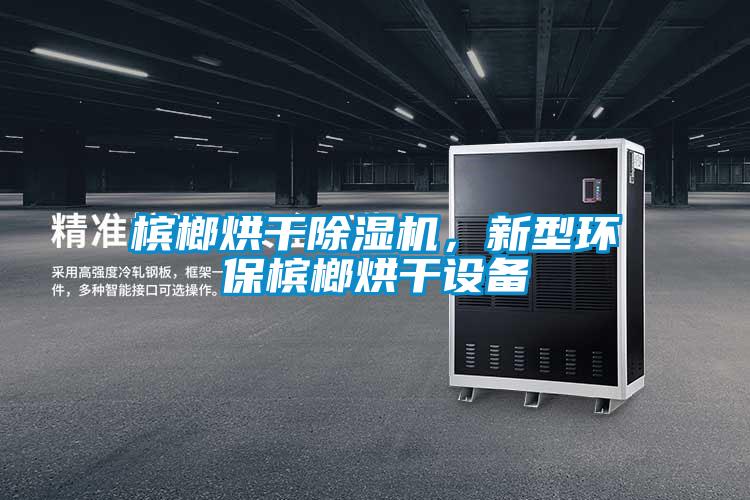 檳榔烘干除濕機(jī)，新型環(huán)保檳榔烘干設(shè)備