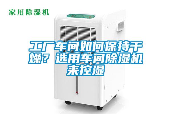 工廠車間如何保持干燥？選用車間除濕機(jī)來(lái)控濕