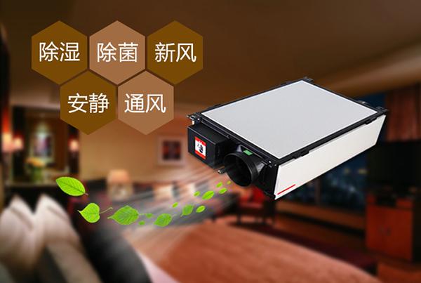 除濕機讓中藥藥材生產(chǎn)儲存更放心