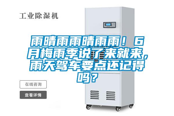 雨晴雨雨晴雨雨！6月梅雨季說了來就來，雨天駕車要點(diǎn)還記得嗎？