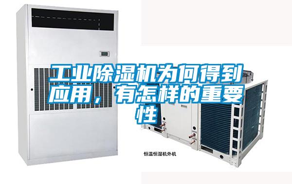 工業除濕機為何得到應用，有怎樣的重要性