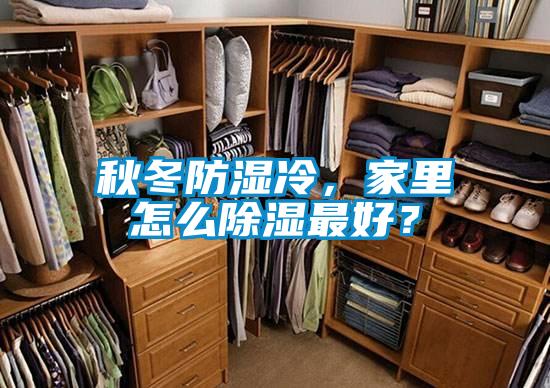 秋冬防濕冷，家里怎么除濕最好？