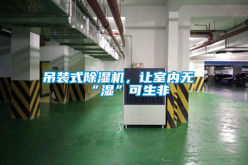 吊裝式除濕機，讓室內無“濕”可生非