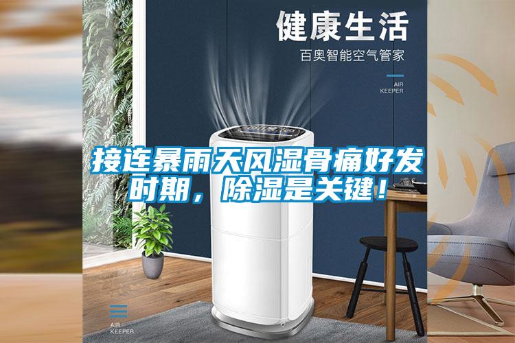 接連暴雨天風濕骨痛好發時期，除濕是關鍵！