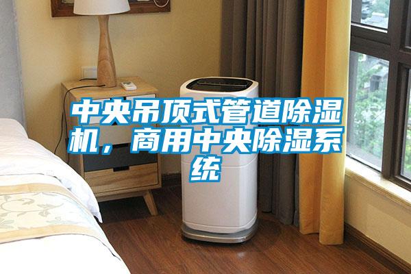 中央吊頂式管道除濕機(jī),商用中央除濕系統(tǒng)