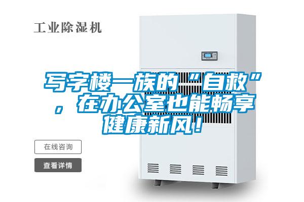 寫字樓一族的“自救”，在辦公室也能暢享健康新風！