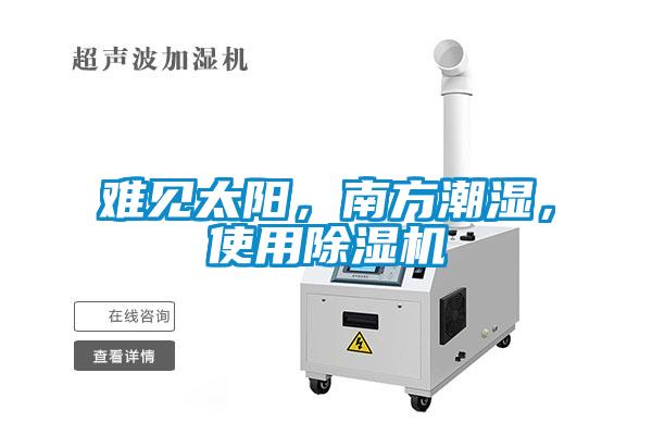 難見太陽,南方潮濕,使用除濕機