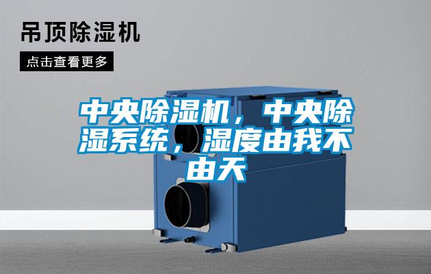 中央除濕機，中央除濕系統(tǒng)，濕度由我不由天