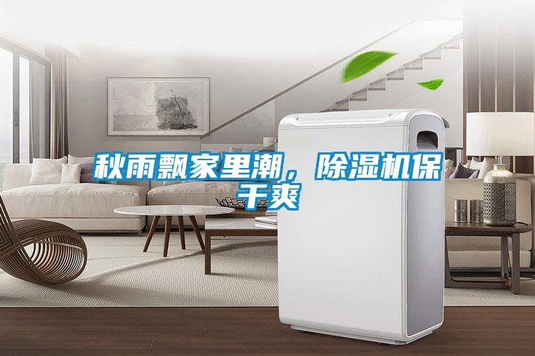 秋雨飄家里潮,除濕機保干爽