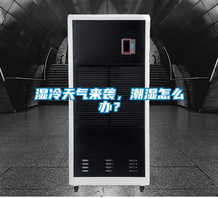 濕冷天氣來襲，潮濕怎么辦？