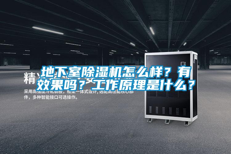 地下室除濕機怎么樣？有效果嗎？工作原理是什么？